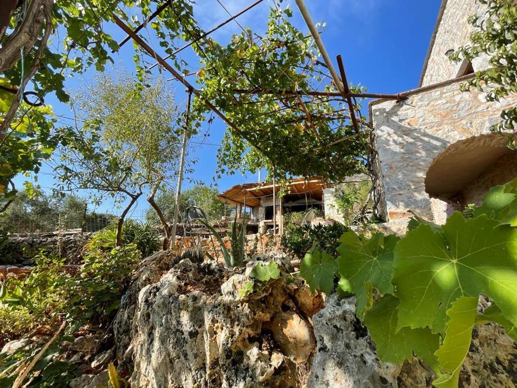 Find Your Peace In A Traditional Country House!! Láyia Eksteriør billede